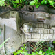 Illustration for article titled The Mysterious Pile Of 1950s Transmissions Buried At The Site Of An Old GM Plant